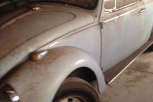 VW Beetle 1968 Barn Find Unfinished Project in Bonnyrigg, NSW
