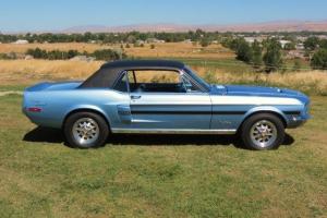 Ford : Mustang GT/CS Photo