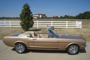 Ford : Mustang GT 289 Photo
