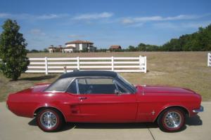 Ford : Mustang 289 V8 Photo