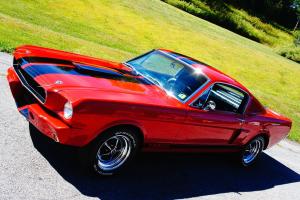 Ford : Mustang 2+2 Fastback GT 350 Shelby extras