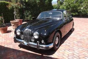 Jaguar : Other Standard