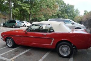 Ford : Mustang Convertible Photo