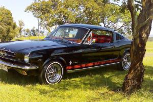 1965 Mustang Fastback Photo