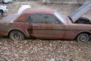 Ford : Mustang coupe Photo