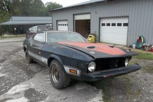Ford : Mustang mach1 Photo