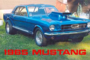 Ford : Mustang Drag Car
