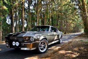 Ford : Mustang Gray Photo