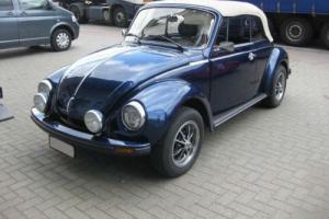Volkswagen Beetle Photo