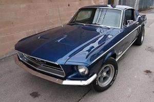 Ford : Mustang FASTBACK Photo
