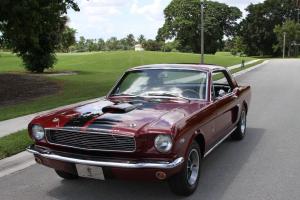 Ford : Mustang Shelby Cobra GT 350 Custom Tribute
