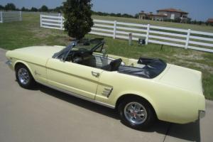 Ford : Mustang Convertible