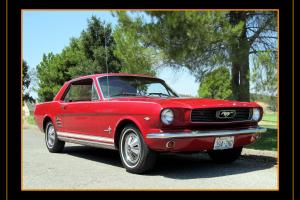 Ford : Mustang Coupe -  Red/Red Photo