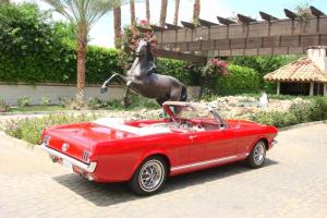 Ford : Mustang GT Photo