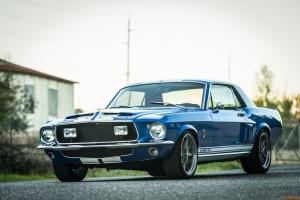 Shelby Clone
