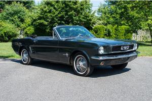 Ford : Mustang 2 Doors Photo