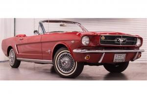 Ford : Mustang V8