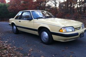 Ford : Mustang LX NOTCHBACK Photo
