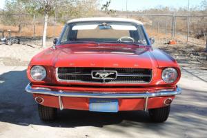Ford : Mustang Convertible Basic Photo