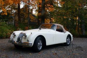 Jaguar : Other XK150 Roadster Photo