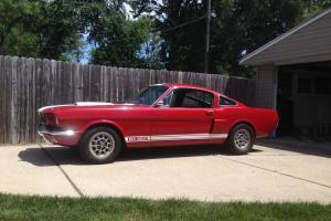 Ford : Mustang Black Standard Photo