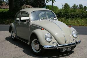 Volkswagen Beetle 1966 Photo