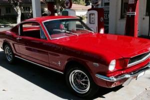 Ford : Mustang Fastback