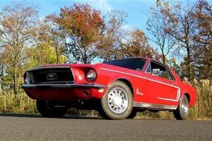 Ford : Mustang Mustang Photo