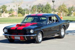 Ford : Mustang Race Photo