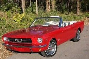 Ford : Mustang V8 Photo