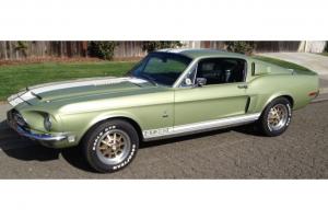 Ford : Mustang GT-350 Photo