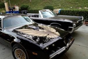 Pontiac : Firebird Trans Am Coupe 2-Door Photo