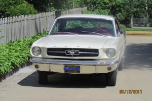 Ford : Mustang standard Photo