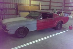Ford : Mustang Base Fastback 2-Door Photo