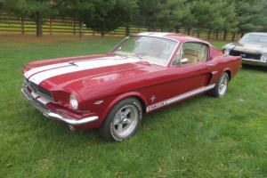Ford : Mustang Shelby GT Photo