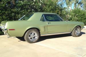 Ford : Mustang stainless Photo