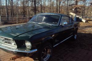 Ford : Mustang Fastback Photo