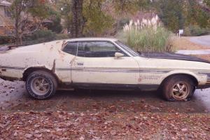 Ford : Mustang BOSS 351