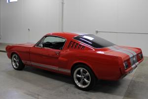 Ford : Mustang GT350 Replica Photo