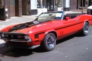 Ford : Mustang Mach One Clone Photo