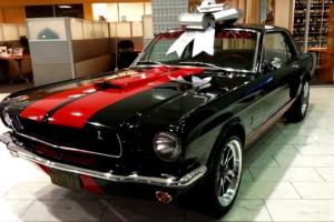 Ford : Mustang Gt 350