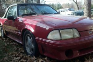 Ford : Mustang gt Photo