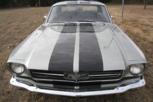 Ford : Mustang GT 350 Photo