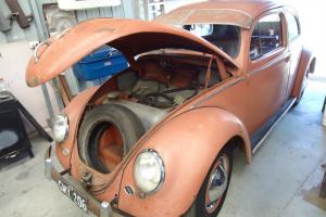 1955 Volkswagen Oval Window Beetle in Ballarat, VIC