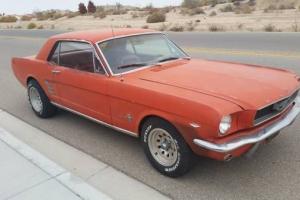 Ford : Mustang C-code Photo