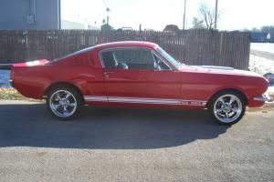 Ford : Mustang GT350 Replica Photo
