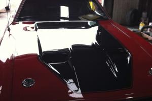 Ford : Mustang MACH 1 Photo