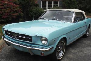 Ford : Mustang Standard Blue interior Photo