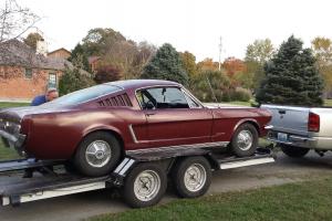 Ford : Mustang fastback Photo