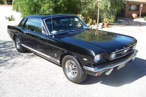 Ford : Mustang GT Photo